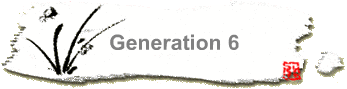Generation 6